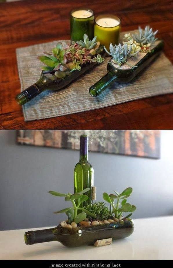 Come coltivare piante in bottiglia