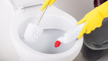 Come pulire il Wc