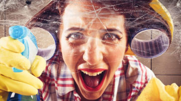 Insetti in casa: come allontanarli