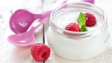Migliori yogurtiere