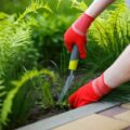 Come eliminare le erbacce in modo naturale